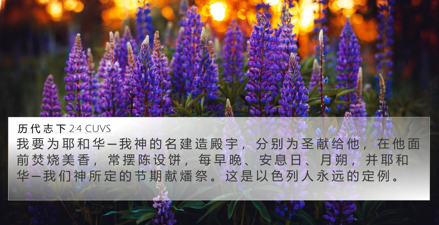 所罗门建殿的初衷.jpg