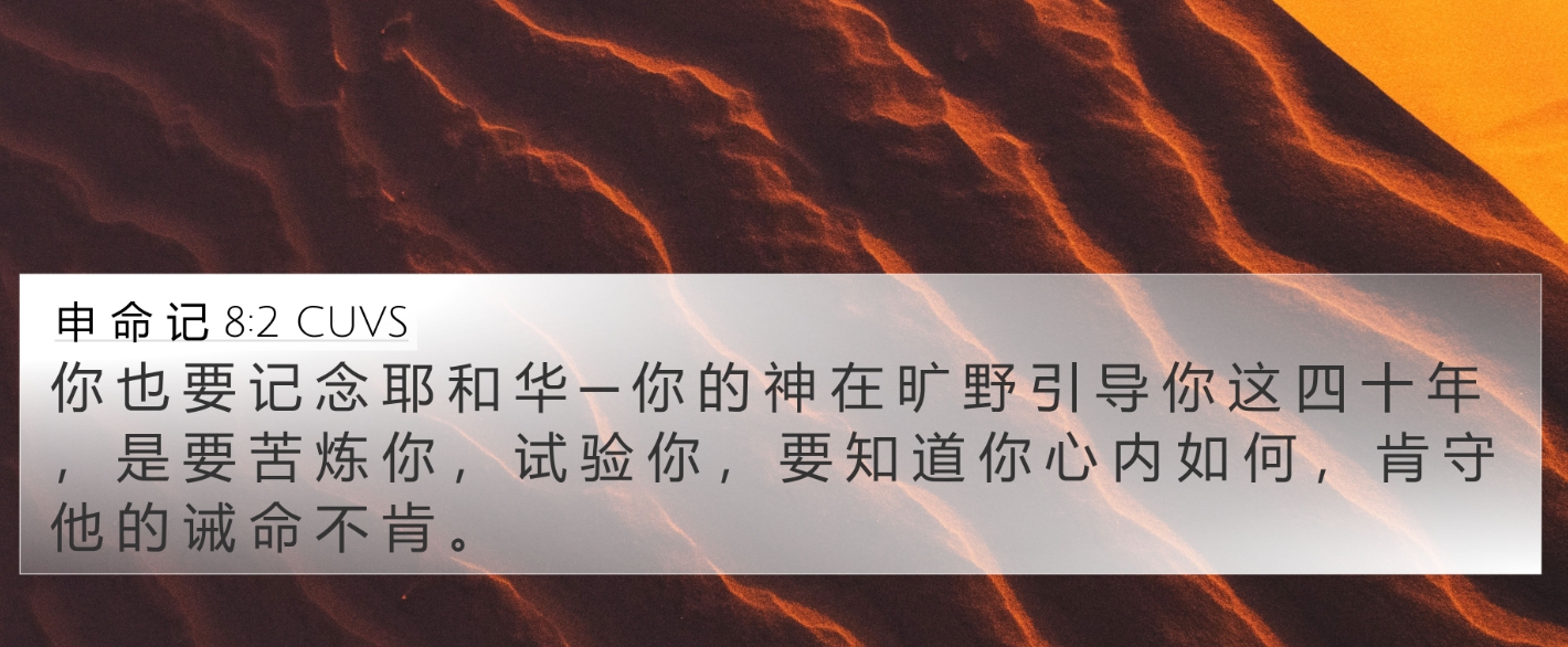 试炼显露你的内心.jpg
