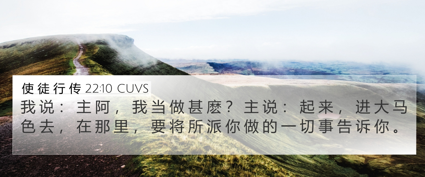主啊，我当做什么？.jpg