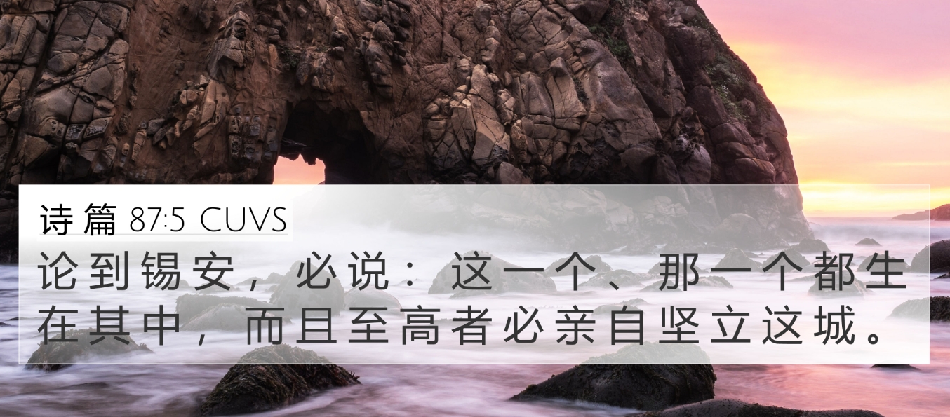 上帝之城.jpg