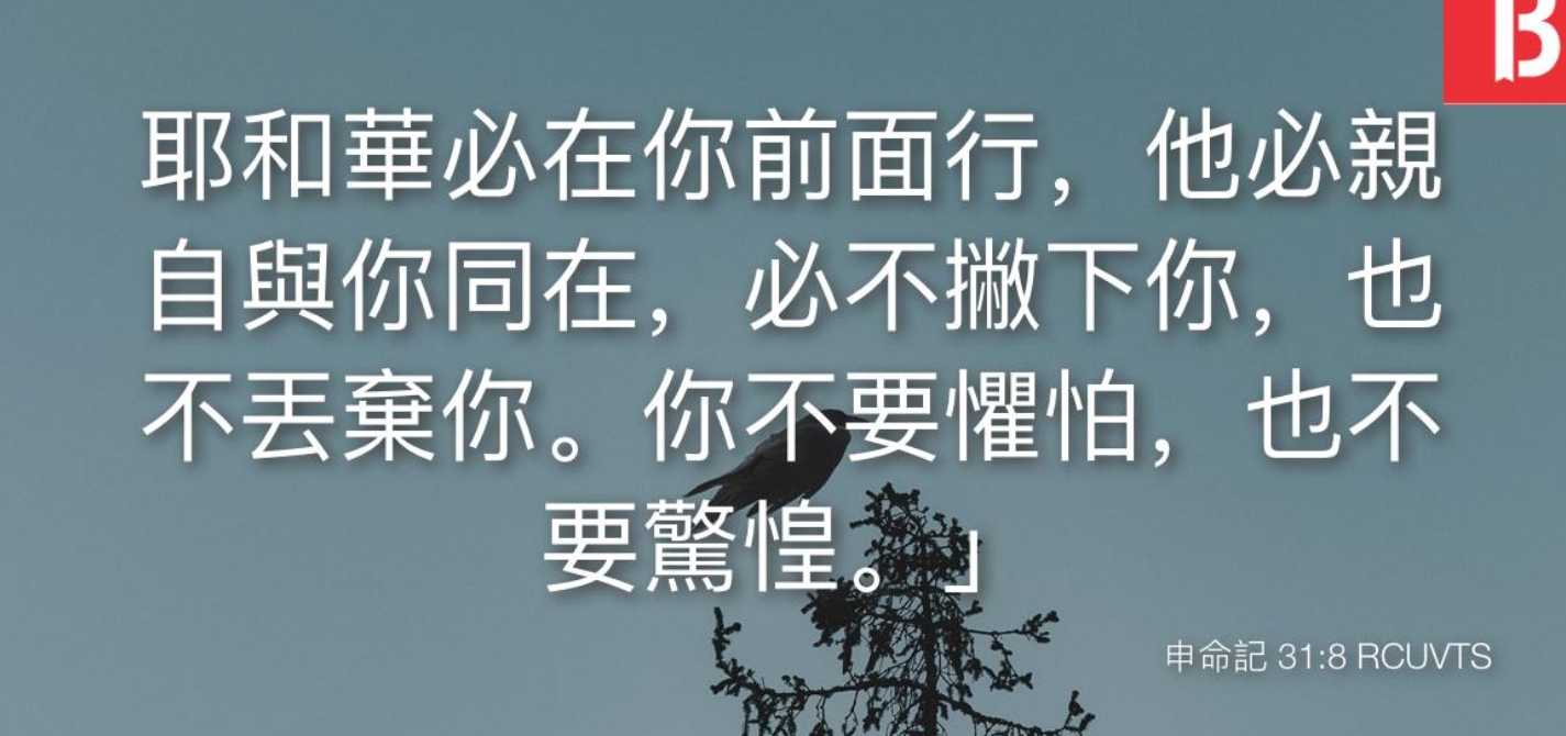 暗中之光.jpg