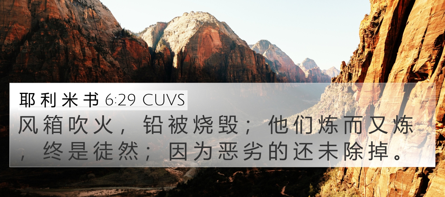 所有在有形教会里的成员都是圣徒吗？.jpg