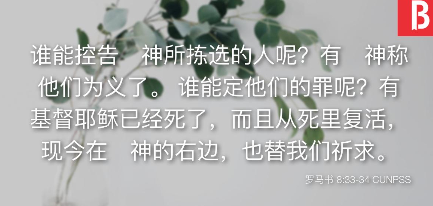 信靠的基础.jpg