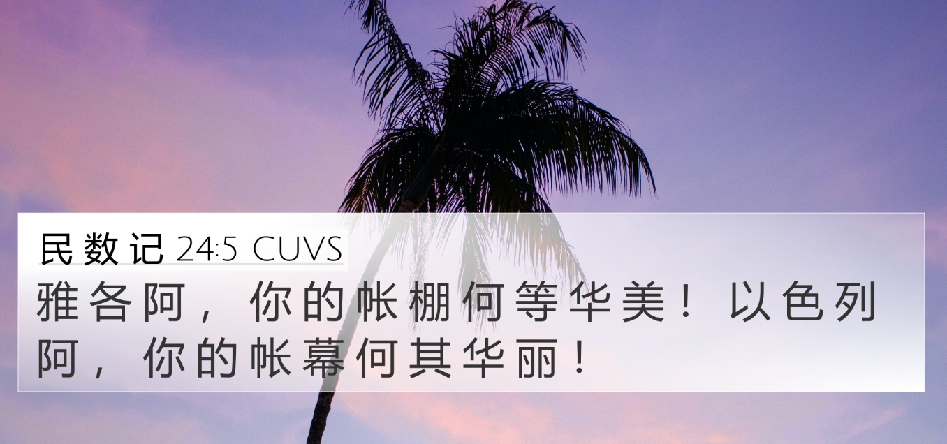 信心与希望最稳固的根基.jpg