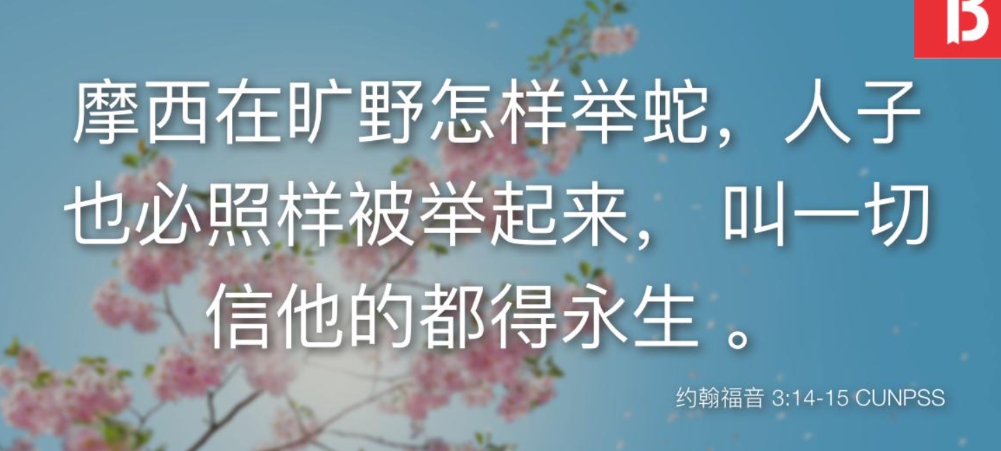 仰望神的预备.jpg